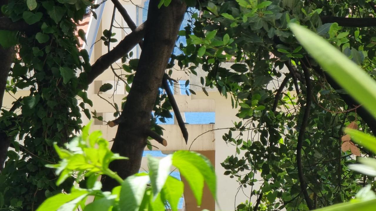 Apartment Savina 赫尔采格诺维 外观 照片