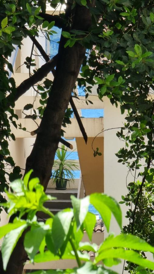 Apartment Savina 赫尔采格诺维 外观 照片